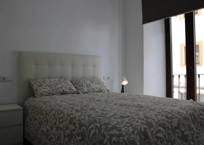 Apartamento Centro Lorenzo Borrego