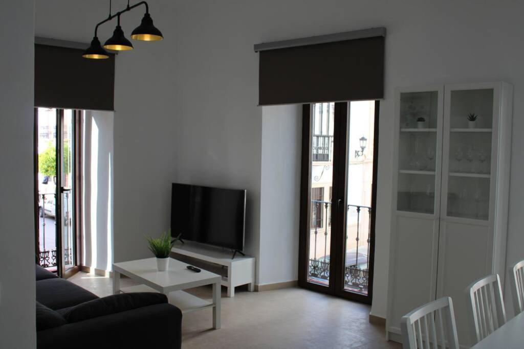 Centro Lorenzo Borrego Apartment *